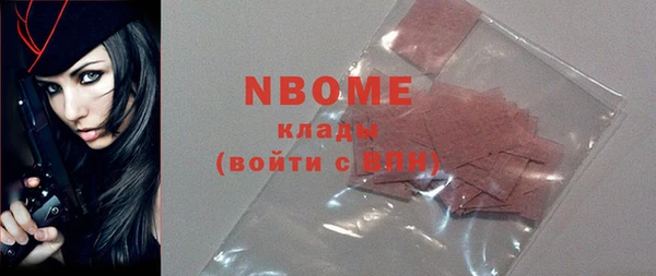 индика Балахна