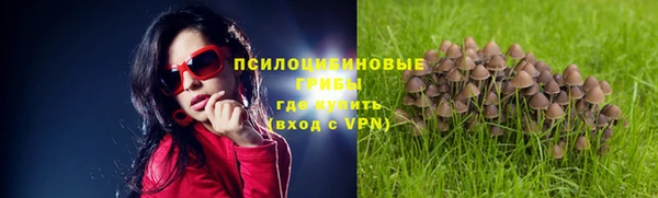 PSILOCYBIN Балабаново