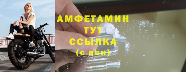 спиды Богородицк