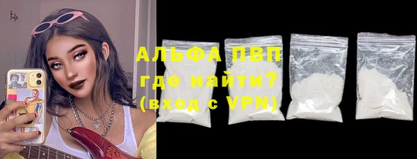 гидра Богданович