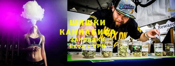 гидра Богданович